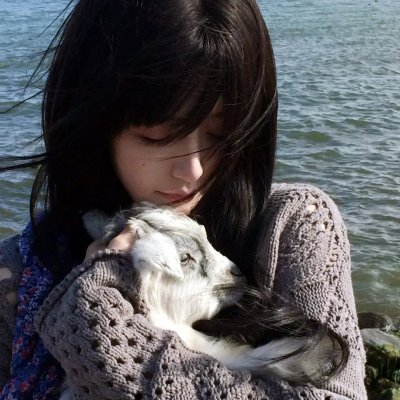 我的猪队友